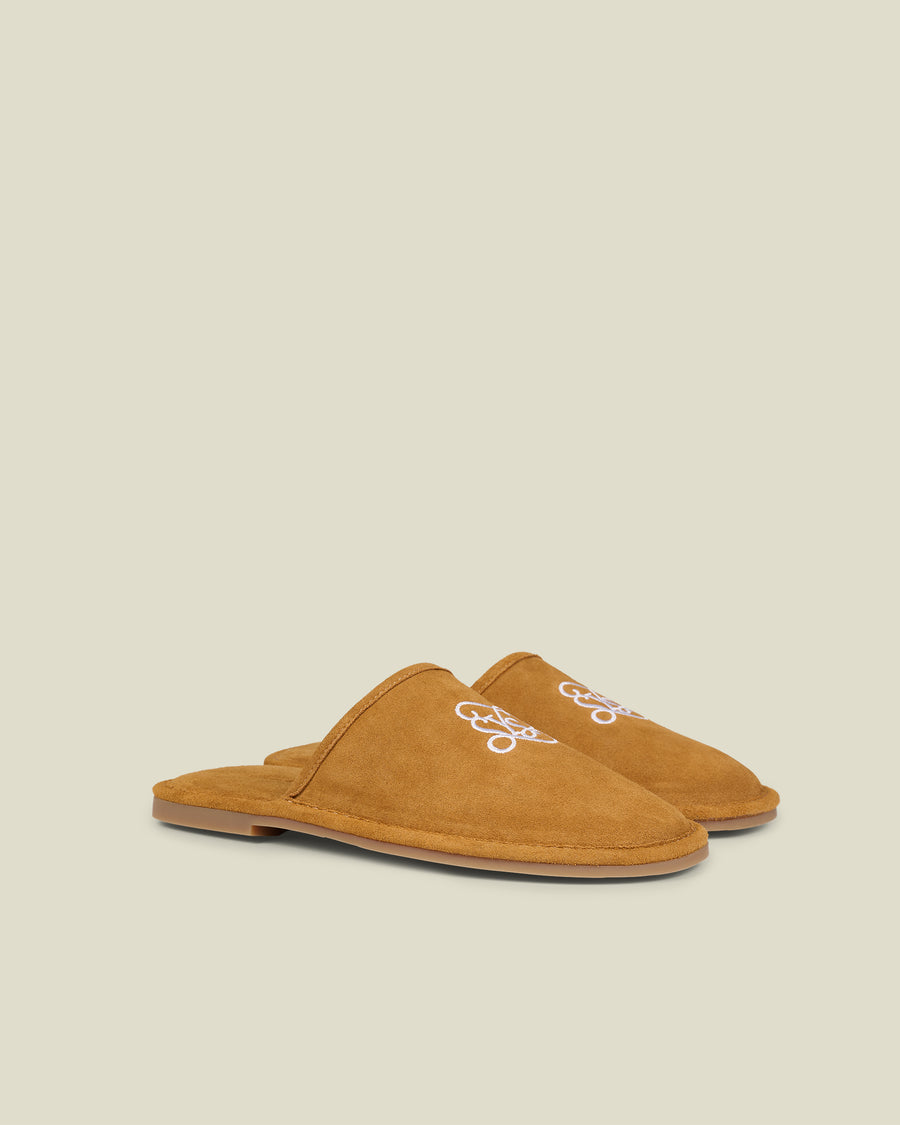 Chateau Slides