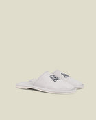Chateau Slides