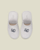 Chateau Slides