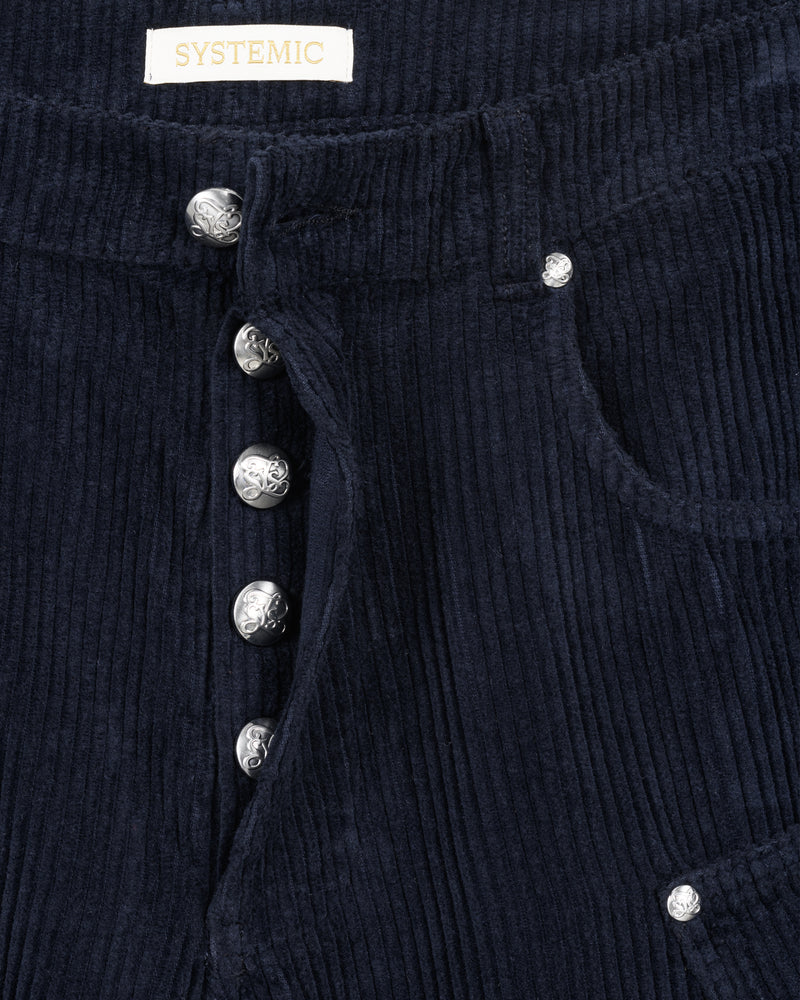 5 Pocket Corduroy Pants
