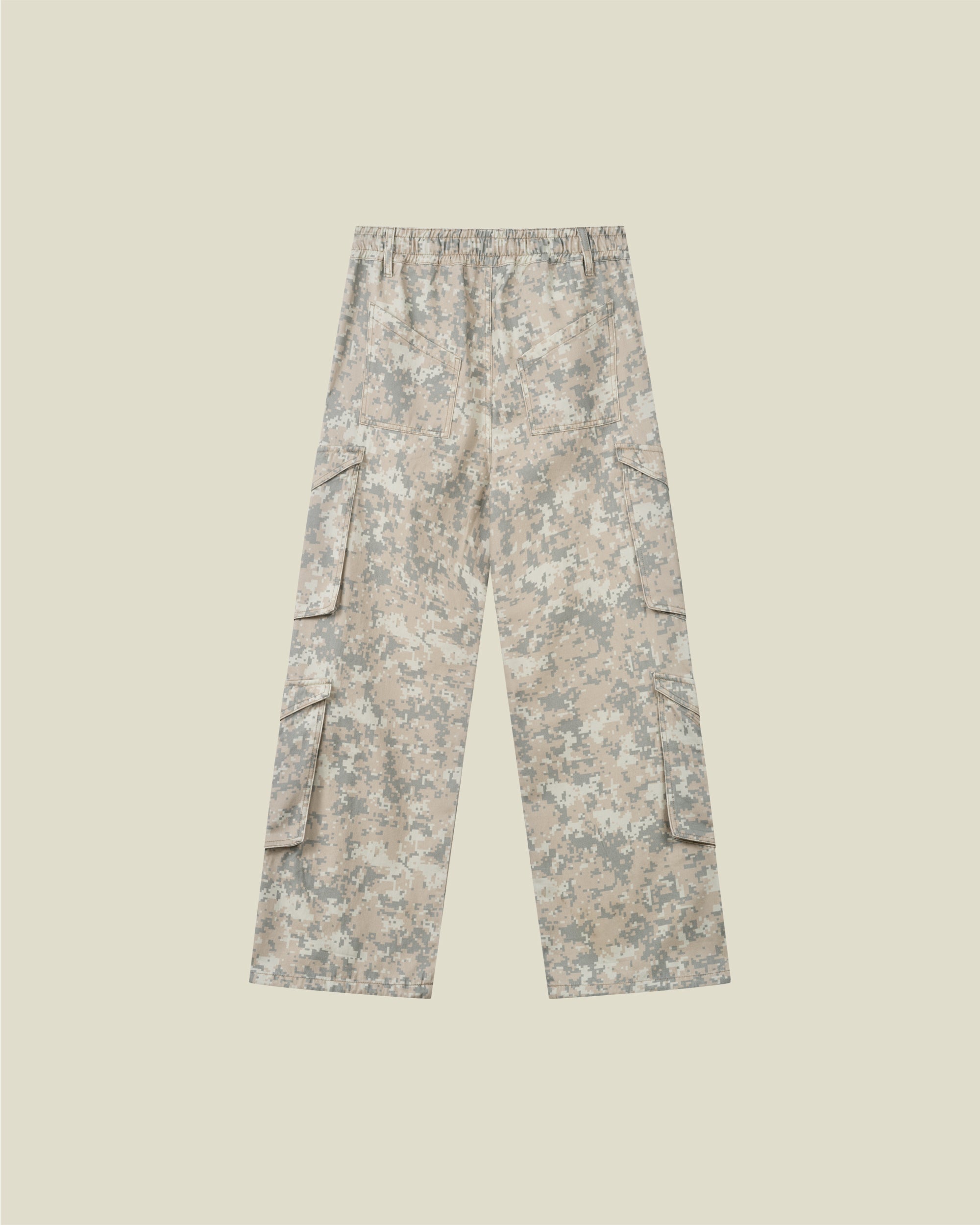 Digital Camo Cargo | Systemic